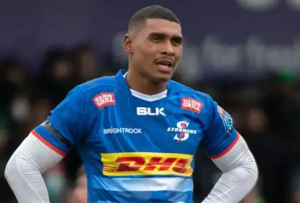 Stormers: Damian Willemse handed fitness boost ahead of Munster clash