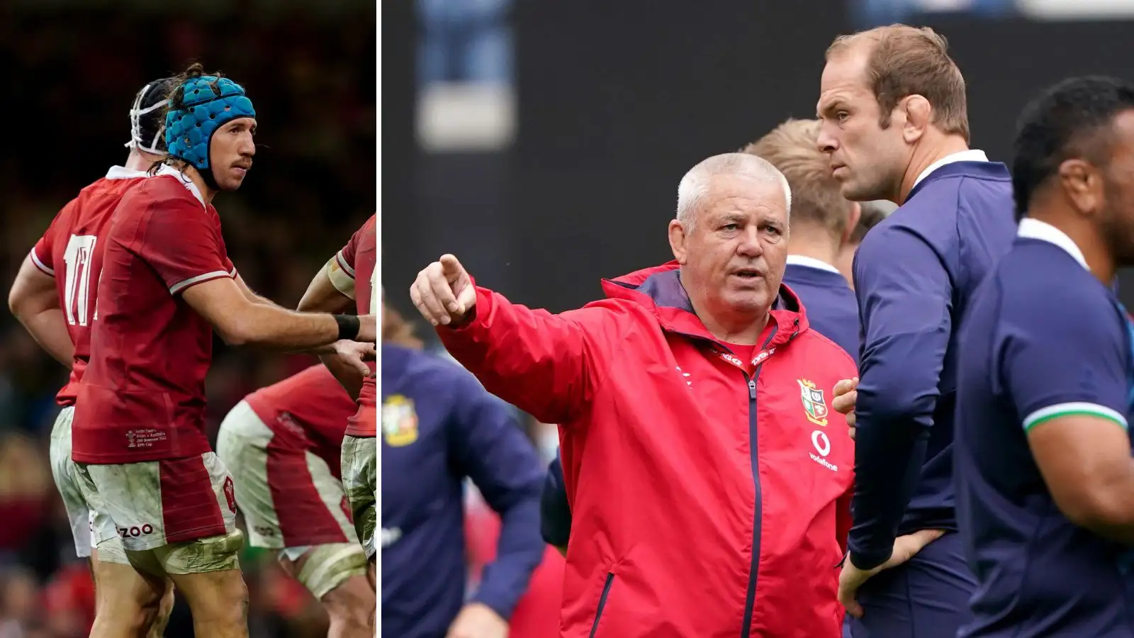 Wales head coach Warren Gatland has hailed lock Alun Wyn Jones and Justin Tipuric following the announcements of their international retirements.