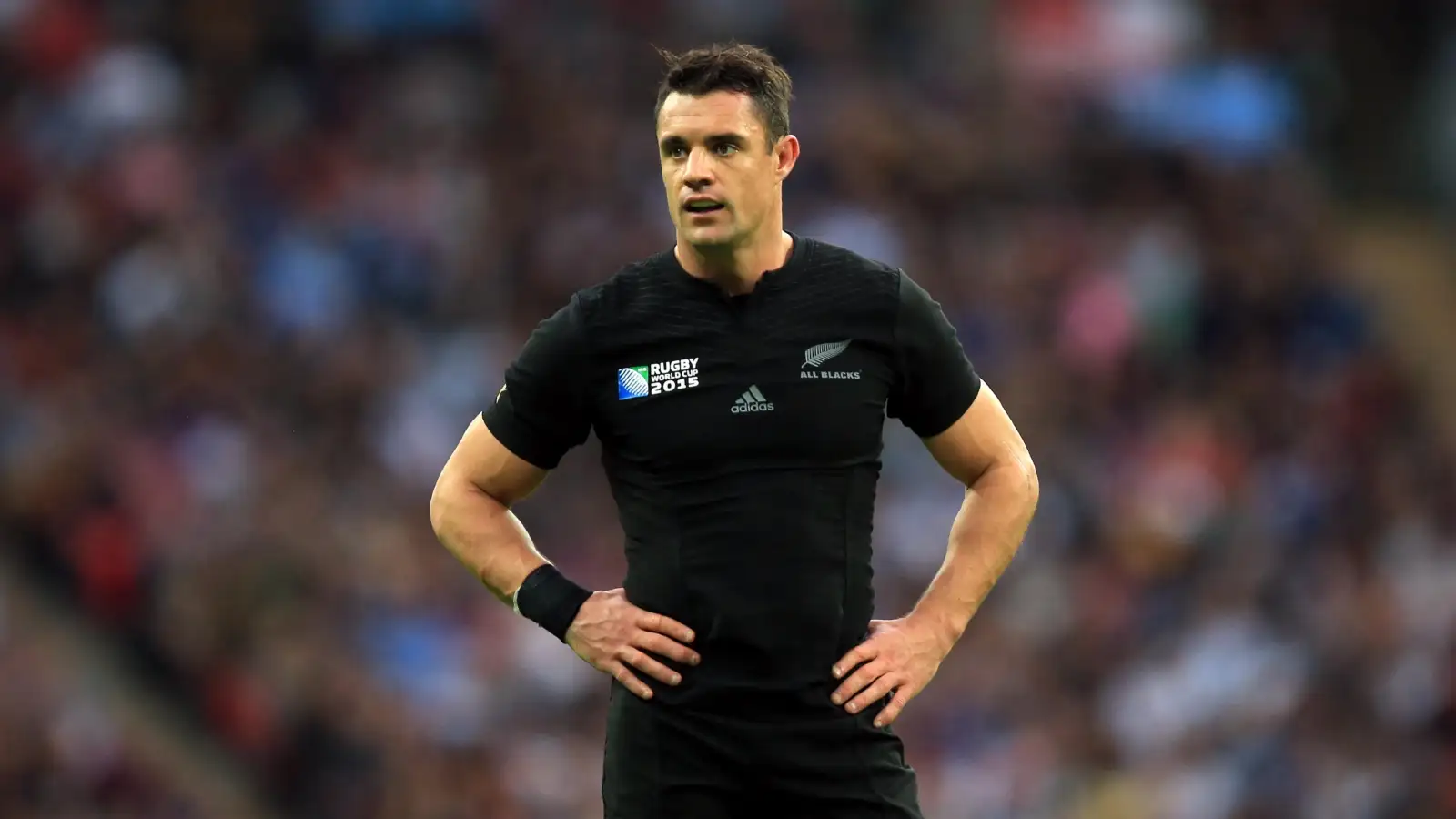 Rugby World Cup: Dan Carter of the All Blacks looking on