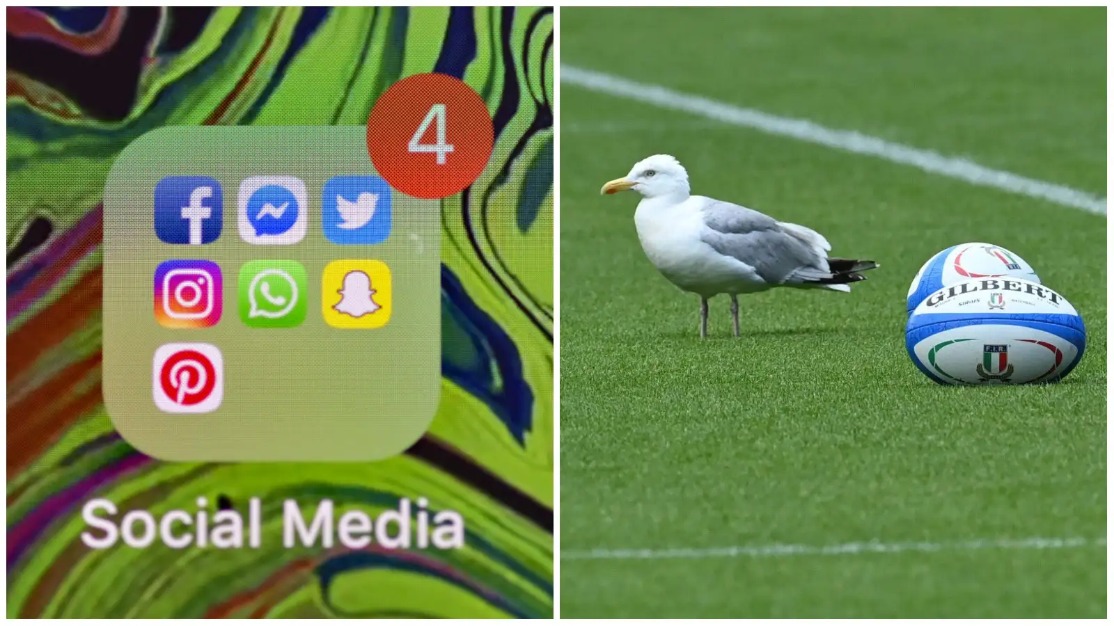 Sunday Social: Bledisloe Cup round-up, that seagull, Bok legends and Gus Fring