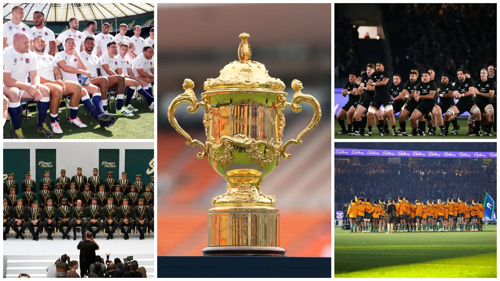 Rugby World Cup with a split of England, South Africa, New Zealand and Australia