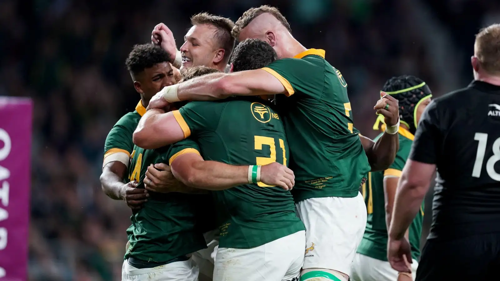 Springbok players celebrate a try against New Zealand.