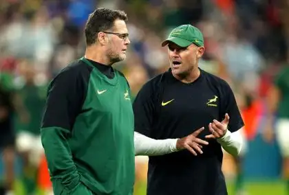 Springboks mull over head coach vacancy as Rassie Erasmus steps up