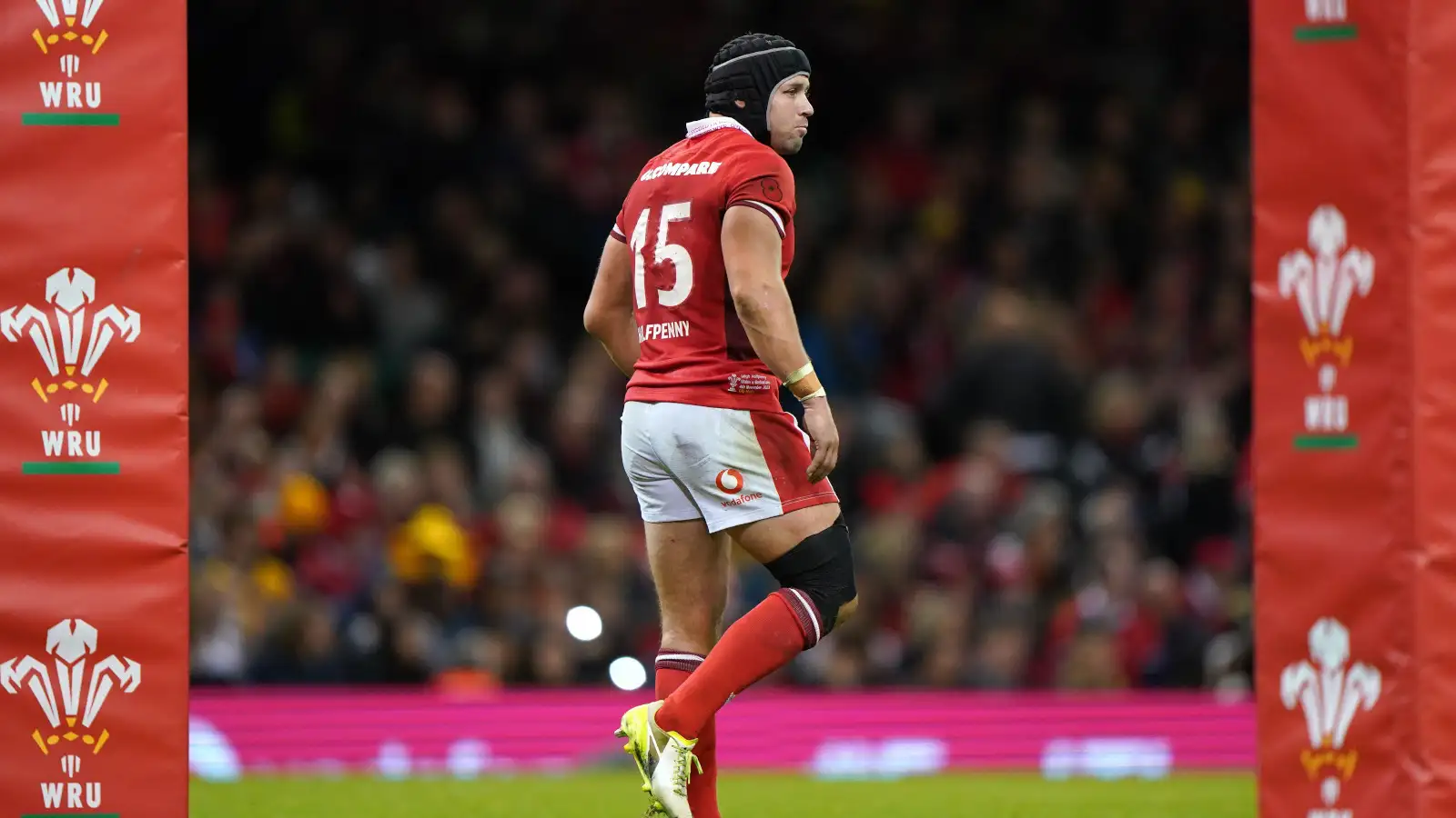 Leigh Halfpenny in his final game for Wales.