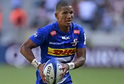 Springbok playmaker’s late try seals Stormers’ Champions Cup play-off berth