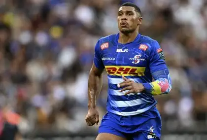 Springboks’ return has ‘risen the temperature’ for the Stormers ahead of North-South derby