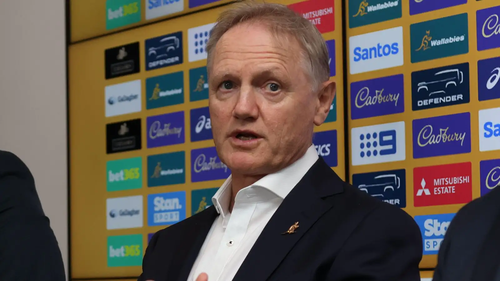 Joe Schmidt new Australia head coach 2024 - Alamy.jpg