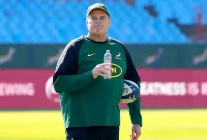 SA Rugby ‘on the verge’ of confirming Rassie Erasmus’ replacement in key Springbok role