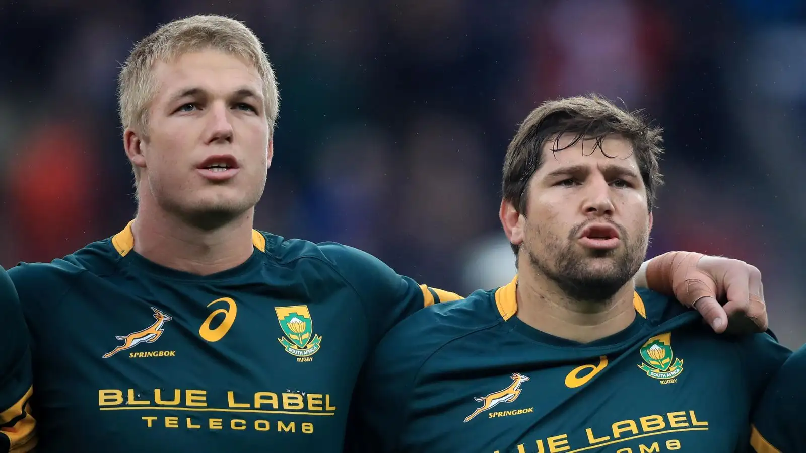 Springboks forward Pieter-Steph du Toit and Willem Alberts.