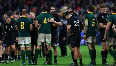 Springboks and All Blacks agree terms to revive blockbuster traditional tours – report