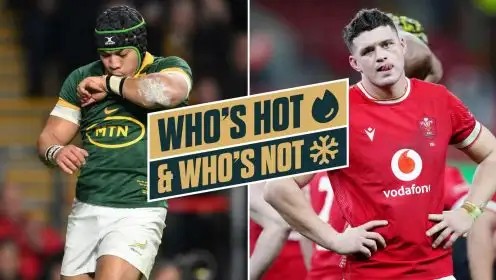 Who’s hot and who’s not: Springboks’ ‘pocket-rocket’ stars while the Joe Schmidt effect is in ‘full swing’ and ‘worst’ Wales team in history