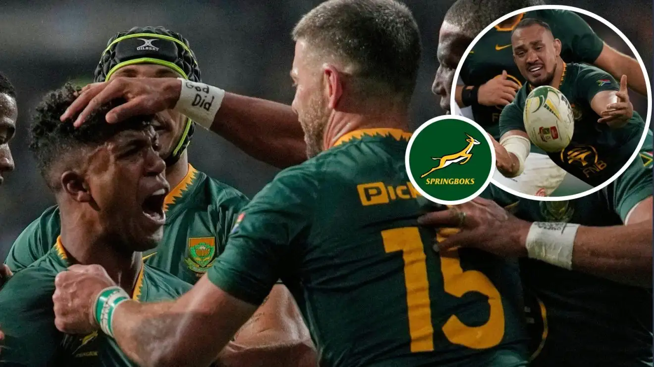 Springboks player ratings