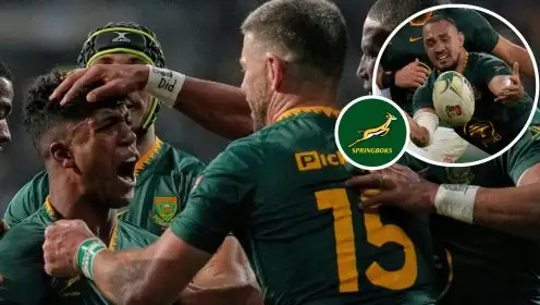 Springboks player ratings: Star forward causes ‘utter mayhem’ as Salmaan Moerat fails to ‘quash’ question marks