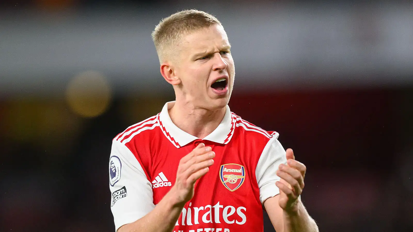 Arsenal v Newcastle United - Premier League - Emirates Stadium Arsenal's Oleksandr Zinchenko during the Premier League match against Newcastle United.