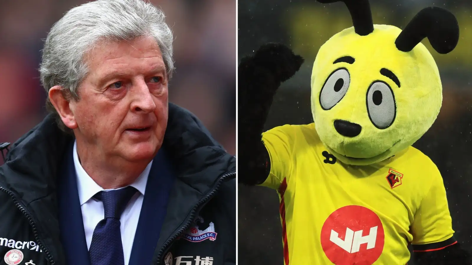 Celebrating Roy Hodgson and Harry the Hornet’s box-office beef