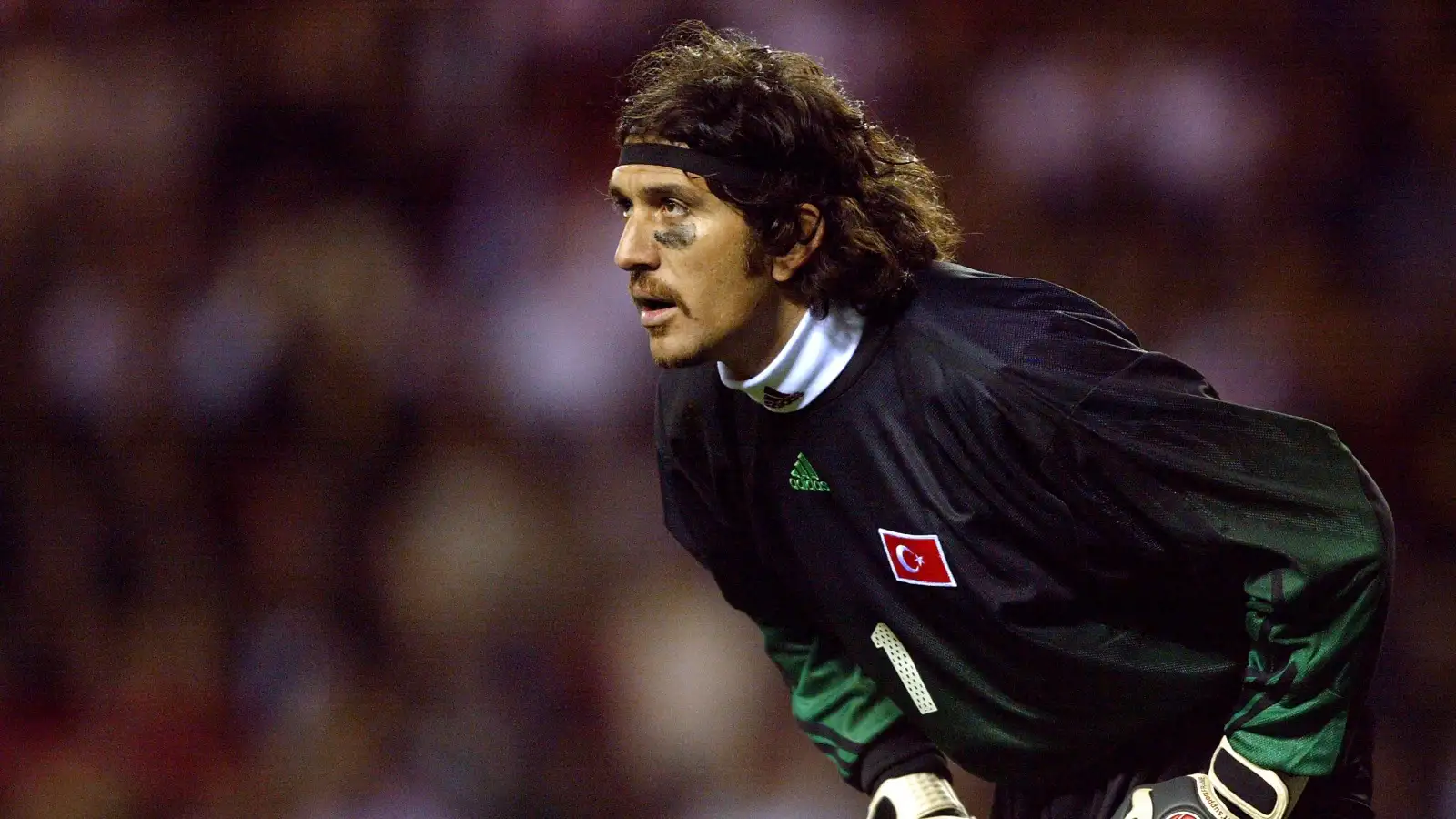 Rustu Recber during the UEFA European Championship qualifier between England and Turkey at Stadium of Light, Sunderland, April 2003.