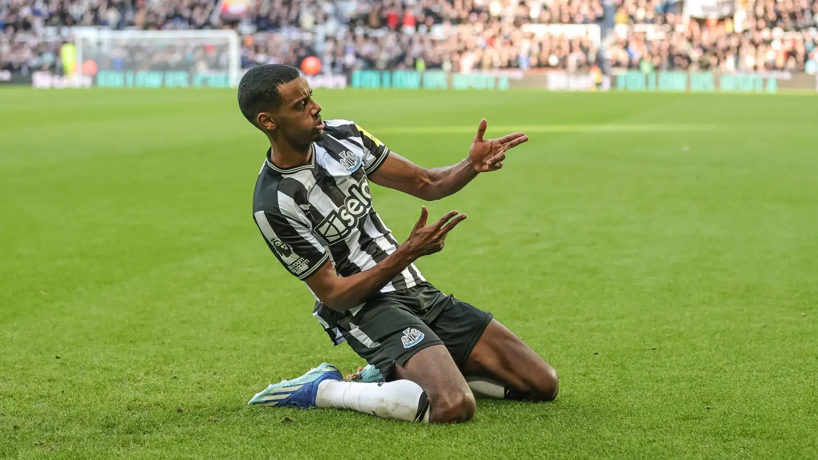 Alexander Isak has flourished since joining Newcastle in 2022.