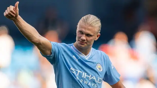 This City striker hit 63 goals in two Premier League seasons.