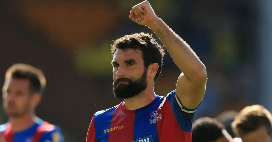 Mile Jedinak Crystal Palace TEAMtalk