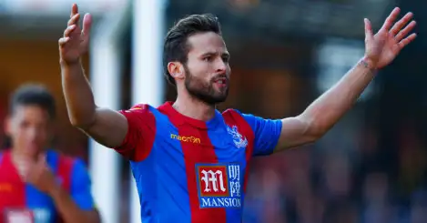 Pardew: Me and Cabaye is like Fergie and Keane