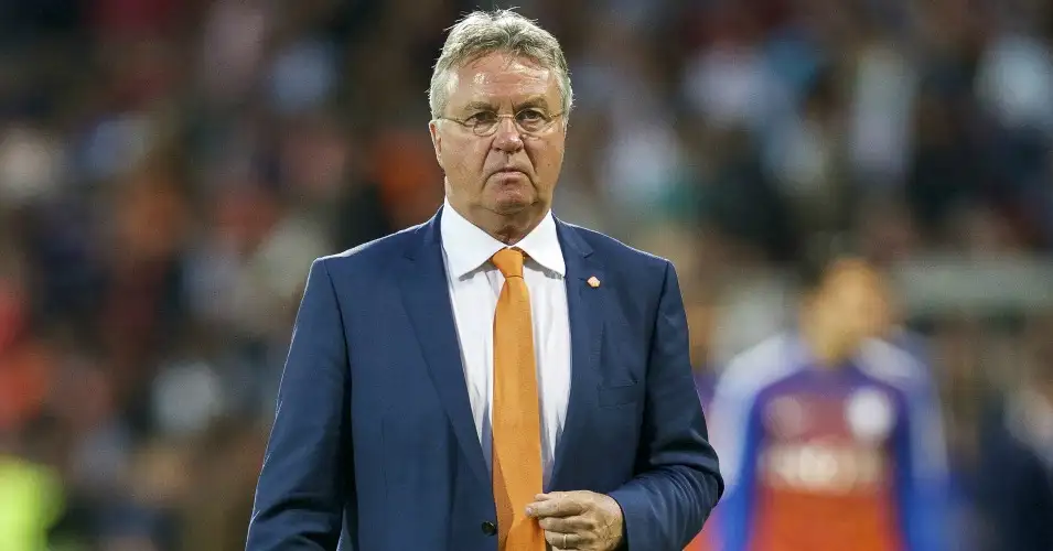 Guus Hiddink: Dutchman appointed