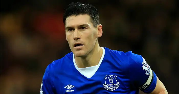 Gareth Barry: Has covered lots of ground for Everton this season