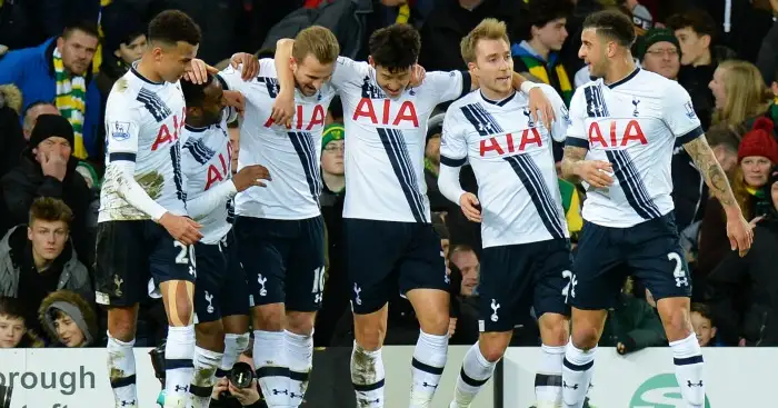 Tottenham: Enjoying a stellar season, says Redknapp