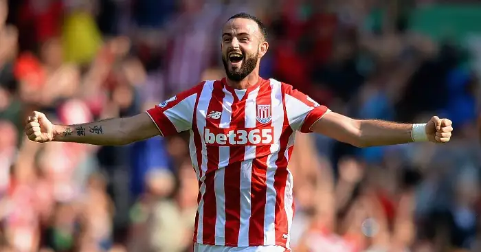 Marc Wilson: Ruled out of Republic of Ireland's Euro 2016 campaign