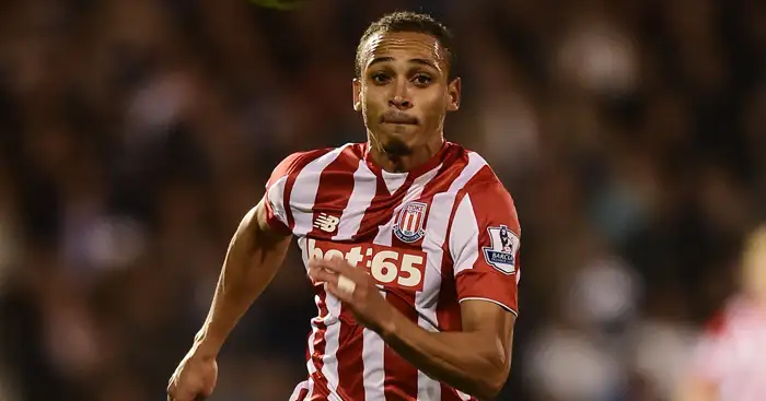 Peter Odemwingie: Chance to impress at Hull