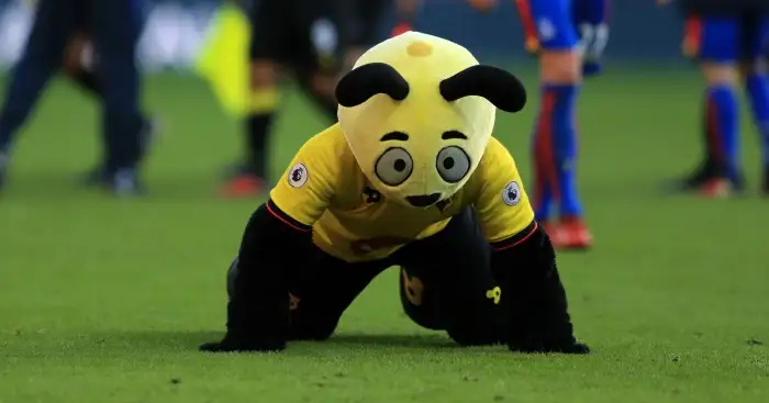 Harry the Hornet: Could be in trouble