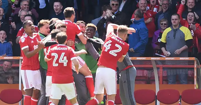 Newcastle crowned Championship champions; Blackburn relegated