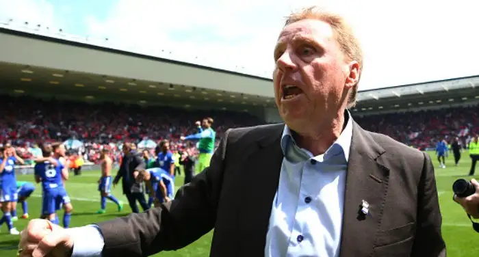 Redknapp eyes fixed on promotion bid next season