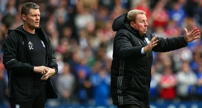 Cotterill turns down permanent assistant role at Birmingham