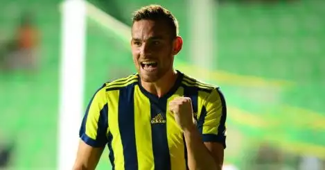 Fenerbahce keen to do early deal for injured £17m Spurs man