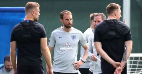 England boss Gareth Southgate hit by freak injury