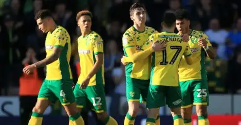 Norwich take step closer to Prem with gutsy win over Bristol City