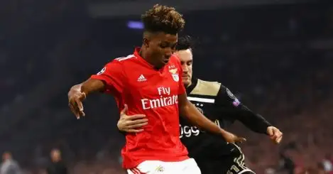 Former Benfica star gives verdict on Gedson Fernandes move to Tottenham
