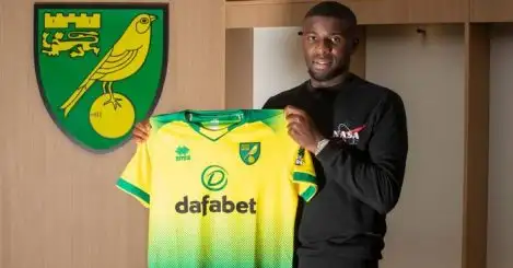 Norwich make fifth signing as midfielder moves from Sevilla