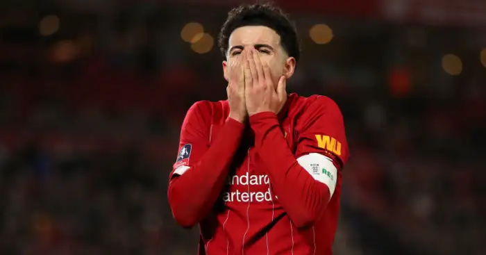 Talented teen can replace Lallana and save Liverpool millions – Aldridge