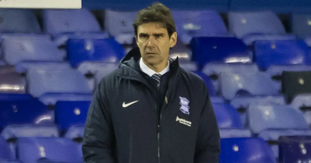 EXCLUSIVE: Replacements considered with Birmingham set to axe Karanka