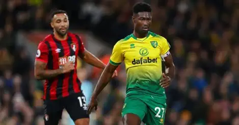 Midfield stars to leave Norwich but Canaries story may continue for one