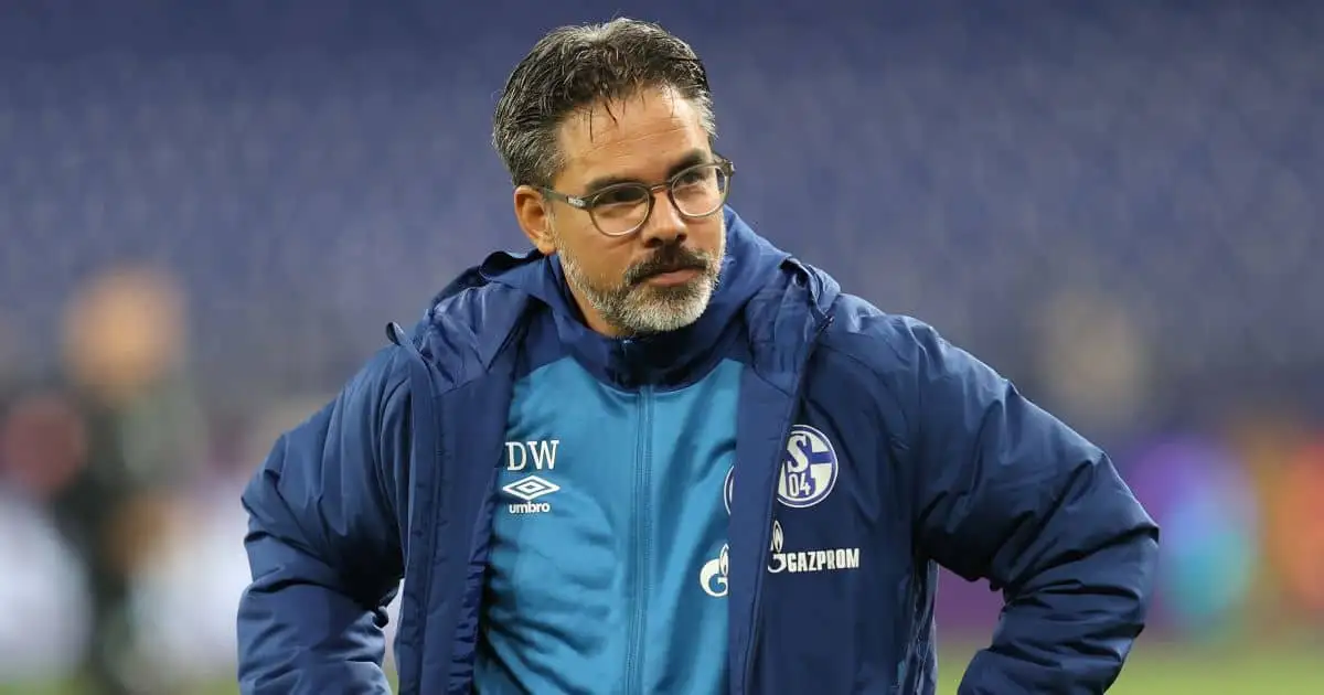 David Wagner Schalke TEAMtalk