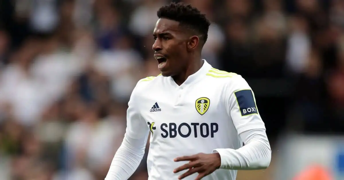 Leeds chief believes summer signing will be world class under Bielsa