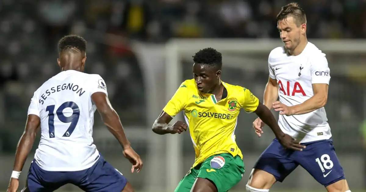 Pundit fears for late Pochettino signing after another grim Tottenham update