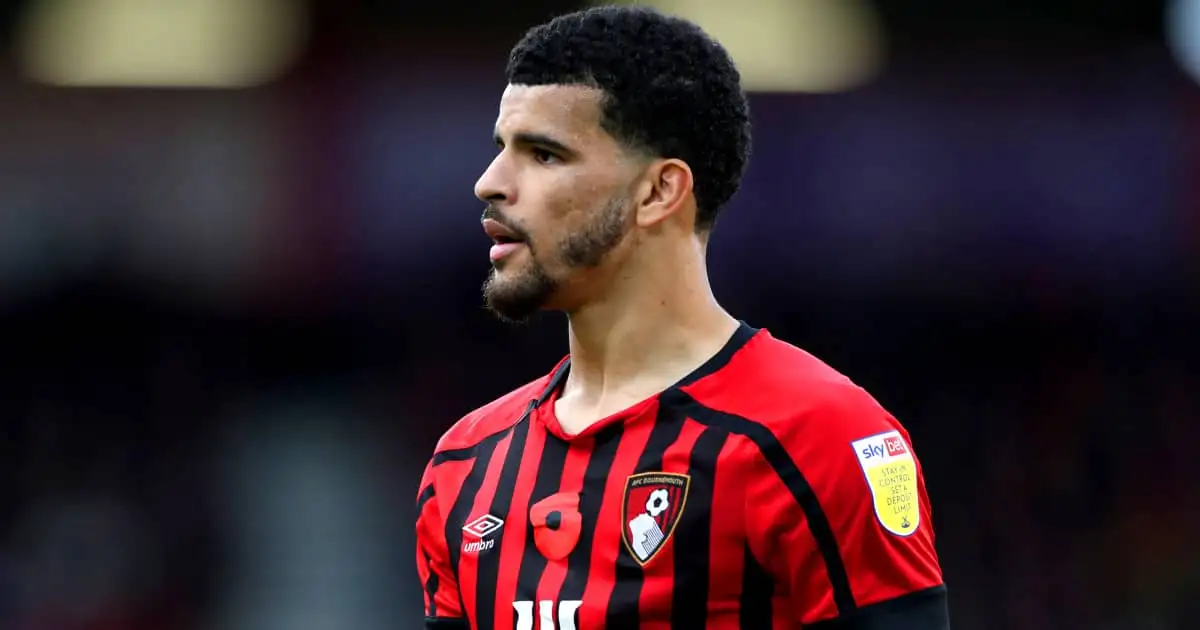 Dominic Solanke Bournemouth striker 2021