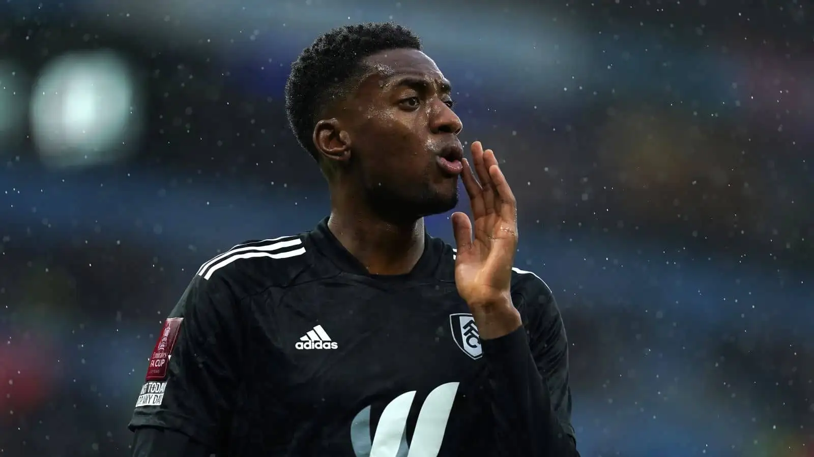 Tosin Adarabioyo Fulham