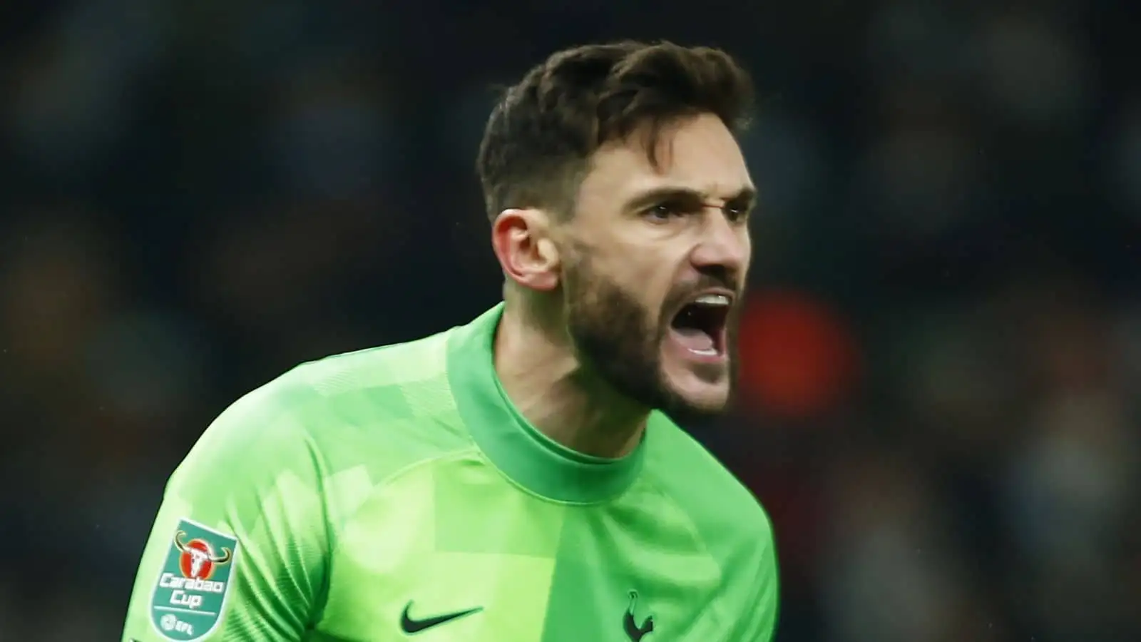 Hugo Lloris playing for Tottenham Hotspur