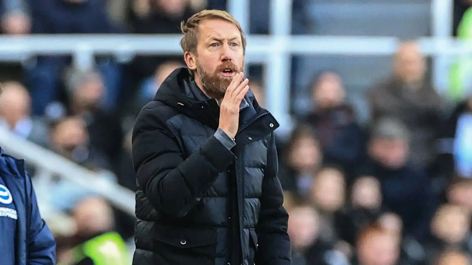 Graham Potter manager of Brighton & Hove Albion gives his team instructions Newcastle