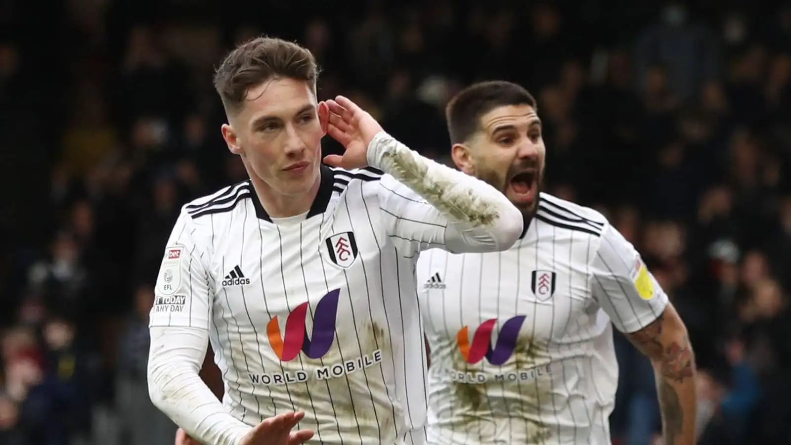 Harry Wilson reveals exit request to Liverpool amid 'most enjoyable season'  at Fulham in second tier