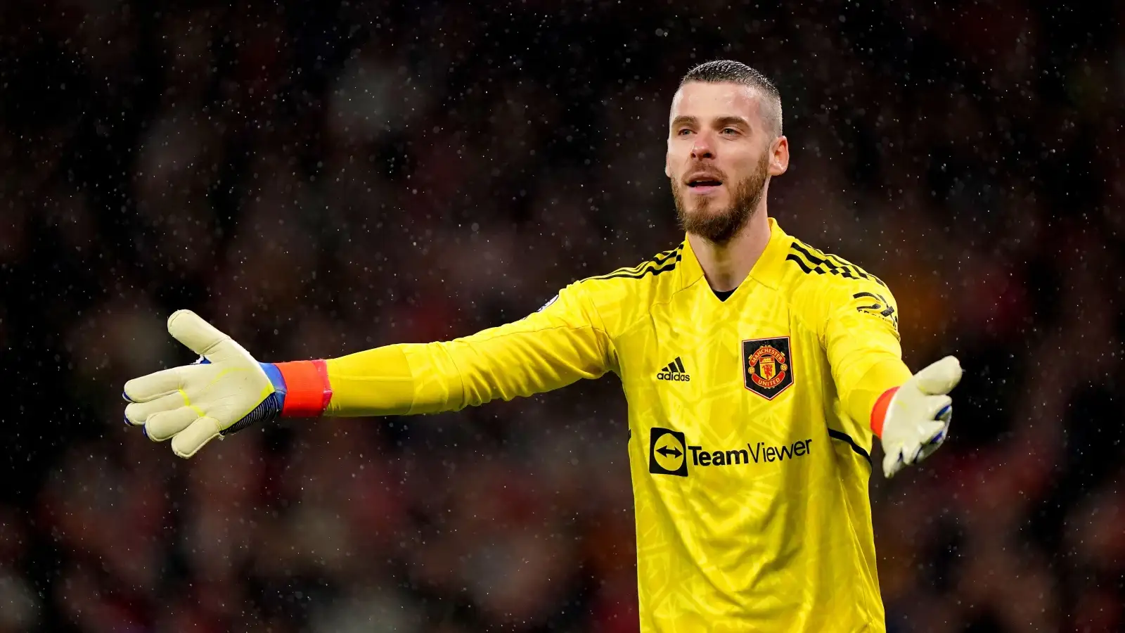 Surprise new frontrunner named for David de Gea signing months after Man Utd exit